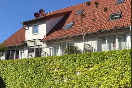 Wohnung Mainz Laubenheim - 1 Zimmer, 35 m&sup2;, 130.000&euro; | Angebot:27247008