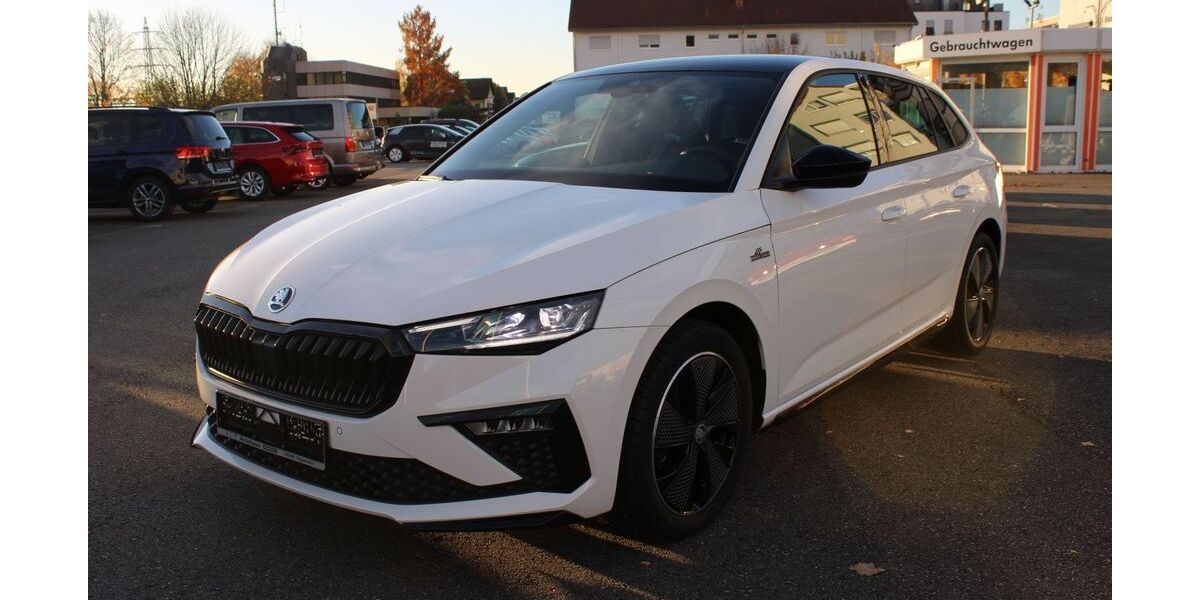 Skoda Scala 1.050 km 28.810 &euro; Heppenheim 64646