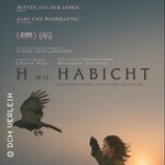 H - wie Habicht