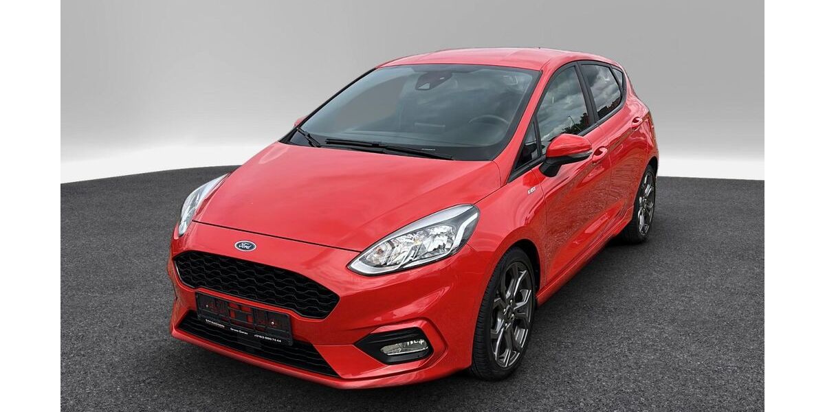 Ford Fiesta 117.000 km 8.890 &euro; Gross Gerau 64521