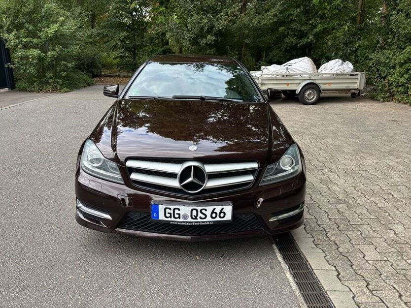 C 250