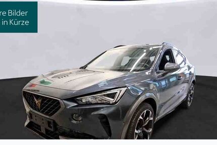 Cupra Formentor 50.095 km 26.390 &euro; Hofheim-Diedenbergen 65719