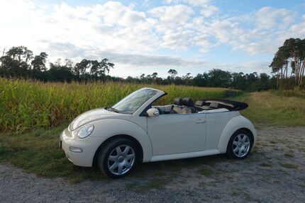 VW Beetle 78.000 km 6.800 &euro; Seeheim-Jugenheim 64342