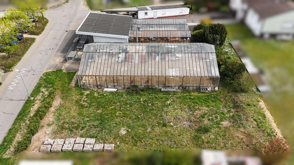 Blumenladen oder Hofladen mit Café für kreative Unternehmer zimmer