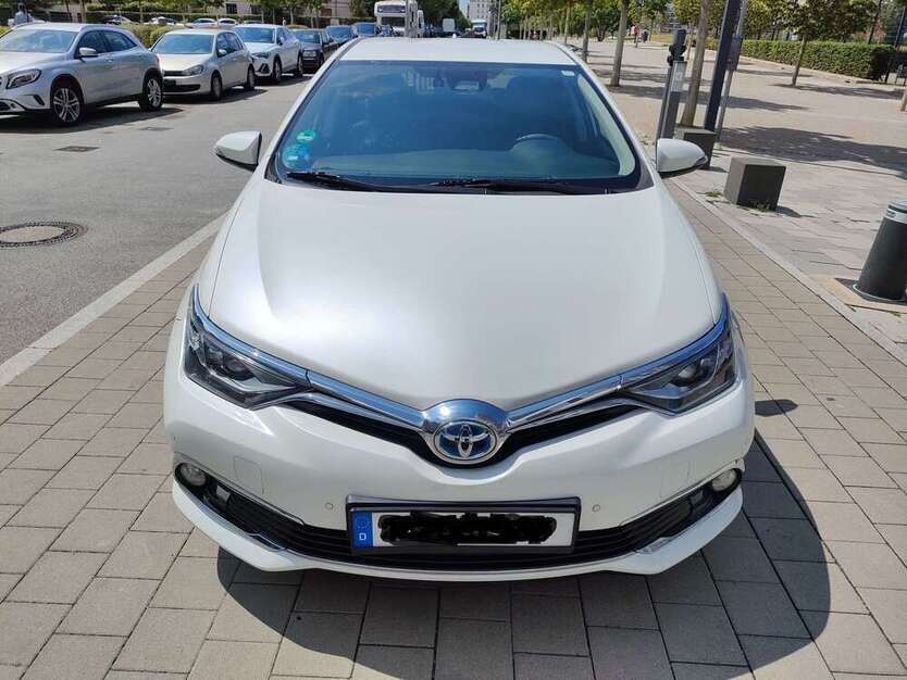 Auris