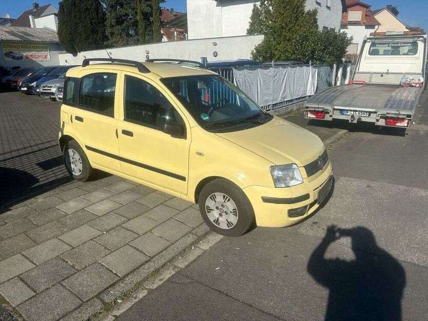 Panda