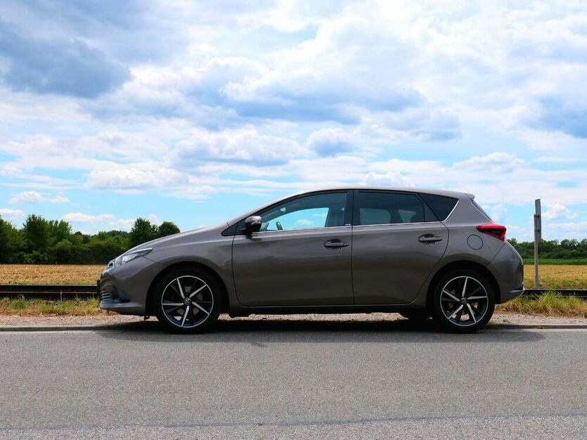 Auris