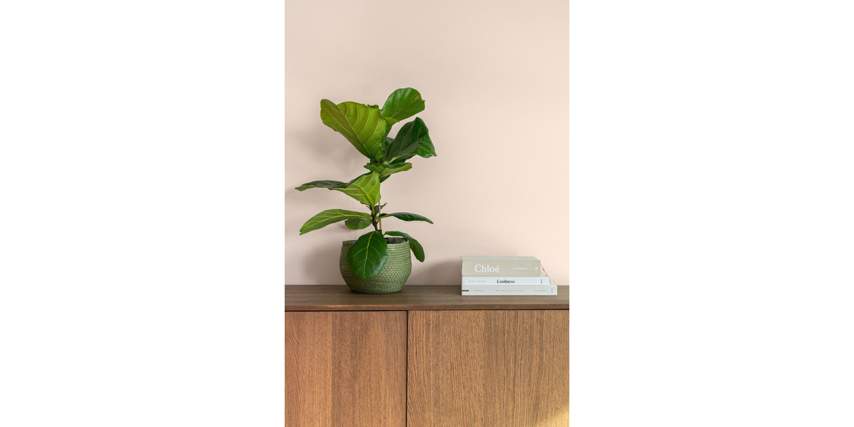 Etagenwohnung Frankfurt am Main Ostend - 2 Zimmer, 63 m&sup2;, 2.570&euro; | Angebot:24973535