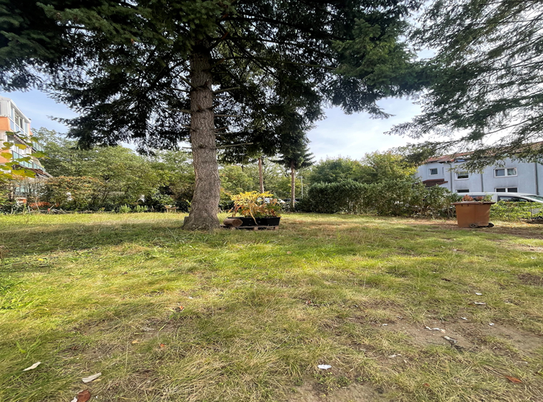 Halle in Kelsterbach 1.500 € 233 m² zimmer