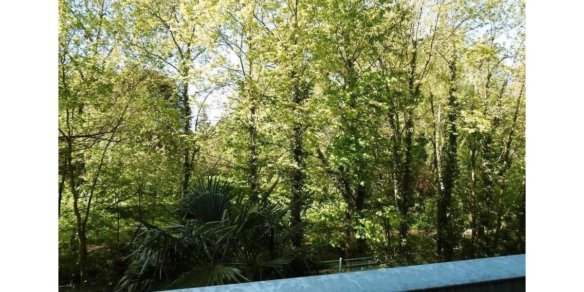 Etagenwohnung Hattersheim am Main - 1 Zimmer, 33 m&sup2;, 115.000&euro; | Angebot:26314474