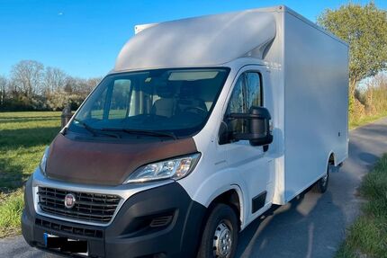 Fiat Ducato 999.999 km 8.900 € Groß-Gerau 64521