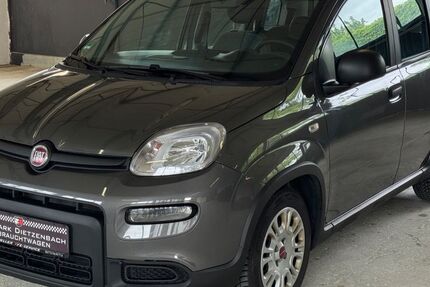 Fiat Panda 213.000 km 7.980 &euro; Dietzenbach 63128