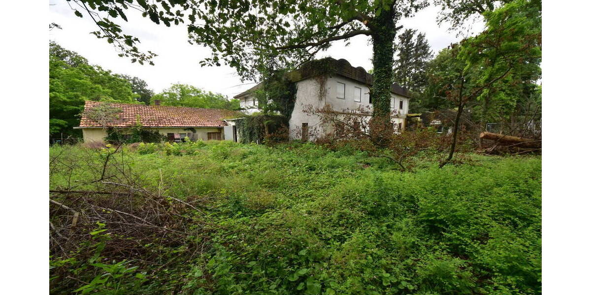 Gewerbeobjekt Babenhausen - 495.000&euro; | Angebot:23951666