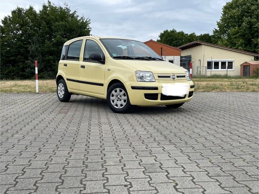 Panda