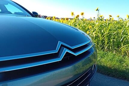 Citroen C6